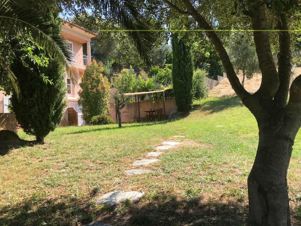 Agreable Location Au Coeur Du Vignoble Dominici Therese Apartment Patrimonio Bagian luar foto